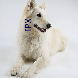 IPX