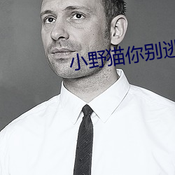 小野猫(māo)你(nǐ)别逃(táo)
