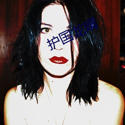 护国龙(lóng)婿