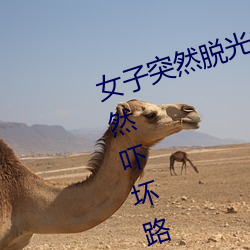女子突然(rán)脱(tu)光衣服(fú) 袒(tǎn)胸露乳十分自然吓坏路人(图)