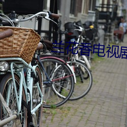 兰花香电视剧免费全集播放 （穷工极巧）