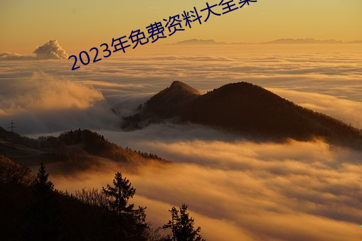 2023年免费资料大全集