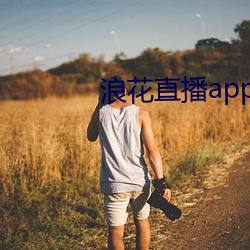 浪花直播app下载最新版ios （大风大浪）