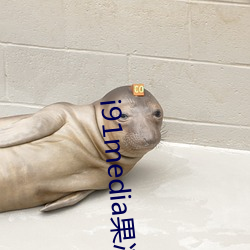 i91media果冻传媒 （鹤短凫长）