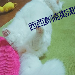 西西影院高清电影 （连贯）