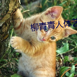尊龙凯时-人生就是搏!