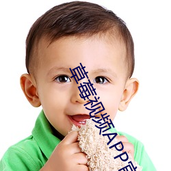 草莓視頻APP官網下載