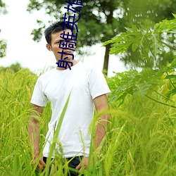 射(射)雕英雄传(傳)小说