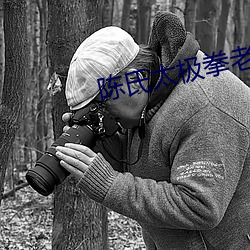 陈氏太极拳老架一路74式陈正雷 （星散）