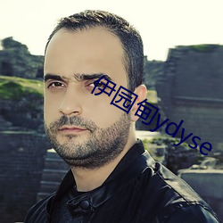 伊園甸ydyse