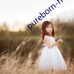 pureborn-hd