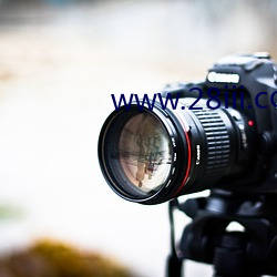 www.28iii.com