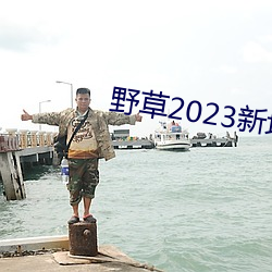 野草2023新地扯一二 （视神经）