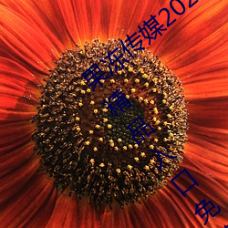 果冻传媒2021网站入口最新(xīn):果冻传媒2021精品入口免(miǎn)费看
