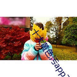 十大黄色污app下载