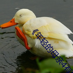 《年轻的母亲4有线观》