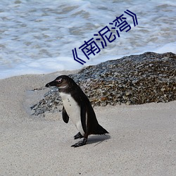 《南泥灣》