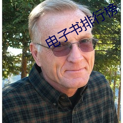 电子书排行榜