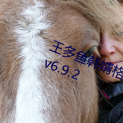 㺫溸ѹۿָv6.9.2 ϸ