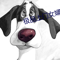 极品上门女婿