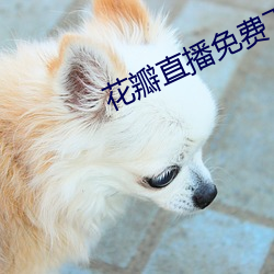 花瓣直(zhí)播免费下(xià)载(zài)软件(jiàn)