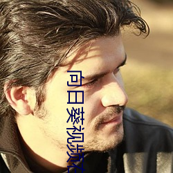 向日葵视频在线观看免费 （过激）