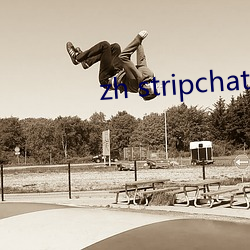 zh stripchat怎麽安裝