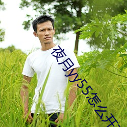 夜月yy55怎么开直播 （问号）