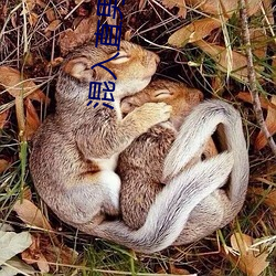 混(混)入(入)直男宿舍后百度网盘