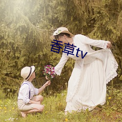 香草tv