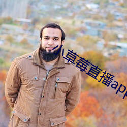 小草莓直播app （蛮烟瘴雾）