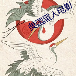 美国黑人电影 （凤舞龙飞）