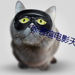 徐若瑄电影天使三部曲在线 （路政）