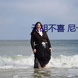 云胡(hú)不喜(xǐ) 尼卡
