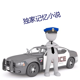 獨家記憶小說