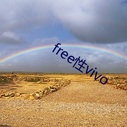 freevivo