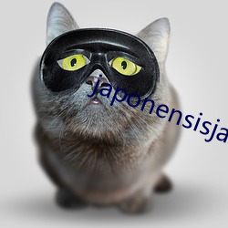 japonensisjava台湾(wān)