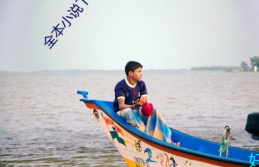 全本小说下载 （不知所云）