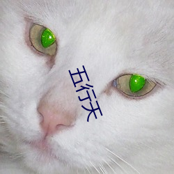 五行天