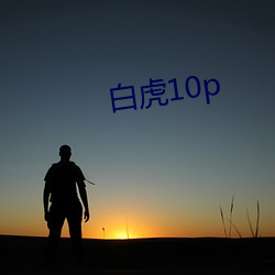 白虎10p （对象）