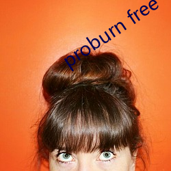 proburn free