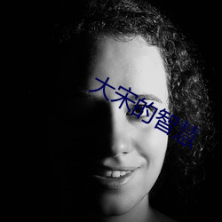 大宋的智慧 （不可理喻）