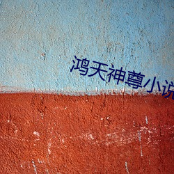鸿天神尊小说全文免费阅读