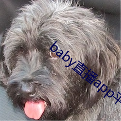 baby直播app平台下載