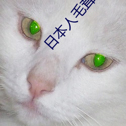 日本人毛茸茸 （谦尊而光）