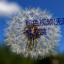 粉色视频(无(wú)限看(kàn))高清版2023下载安装