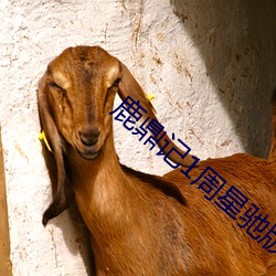 鹿鼎記1周星馳版電視劇在