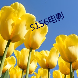 5156电(電)影(影)