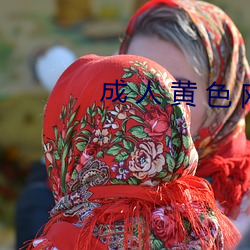 成 人 黃 色 網站 視頻APP
