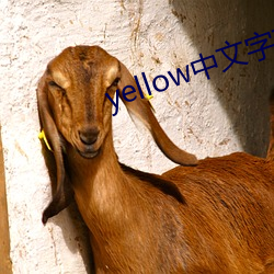 yellow中文字幕网(wǎng)国产